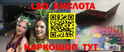 прущие грибы Будённовск