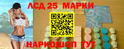 прущие грибы Будённовск