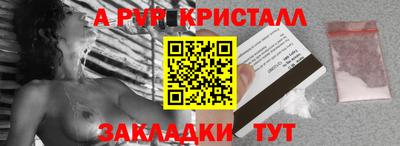 прущие грибы Будённовск